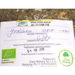 JEŻÓWKA Purpurowa - Luz 0,5 kg